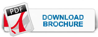 Download Brochure Button